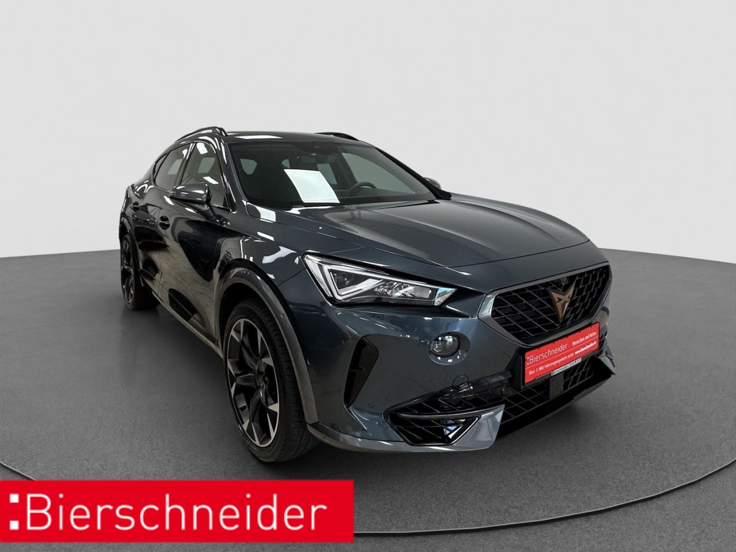 Cupra Formentor 2.0 TSI 4Drive VZ ACC NAVI 360 imagem 3