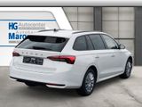 Skoda Octavia 1.5 TSI Kombi  DSG AHK GRA Sithzg. PDC - Skoda Octavia Neuwagen in Stuttgart