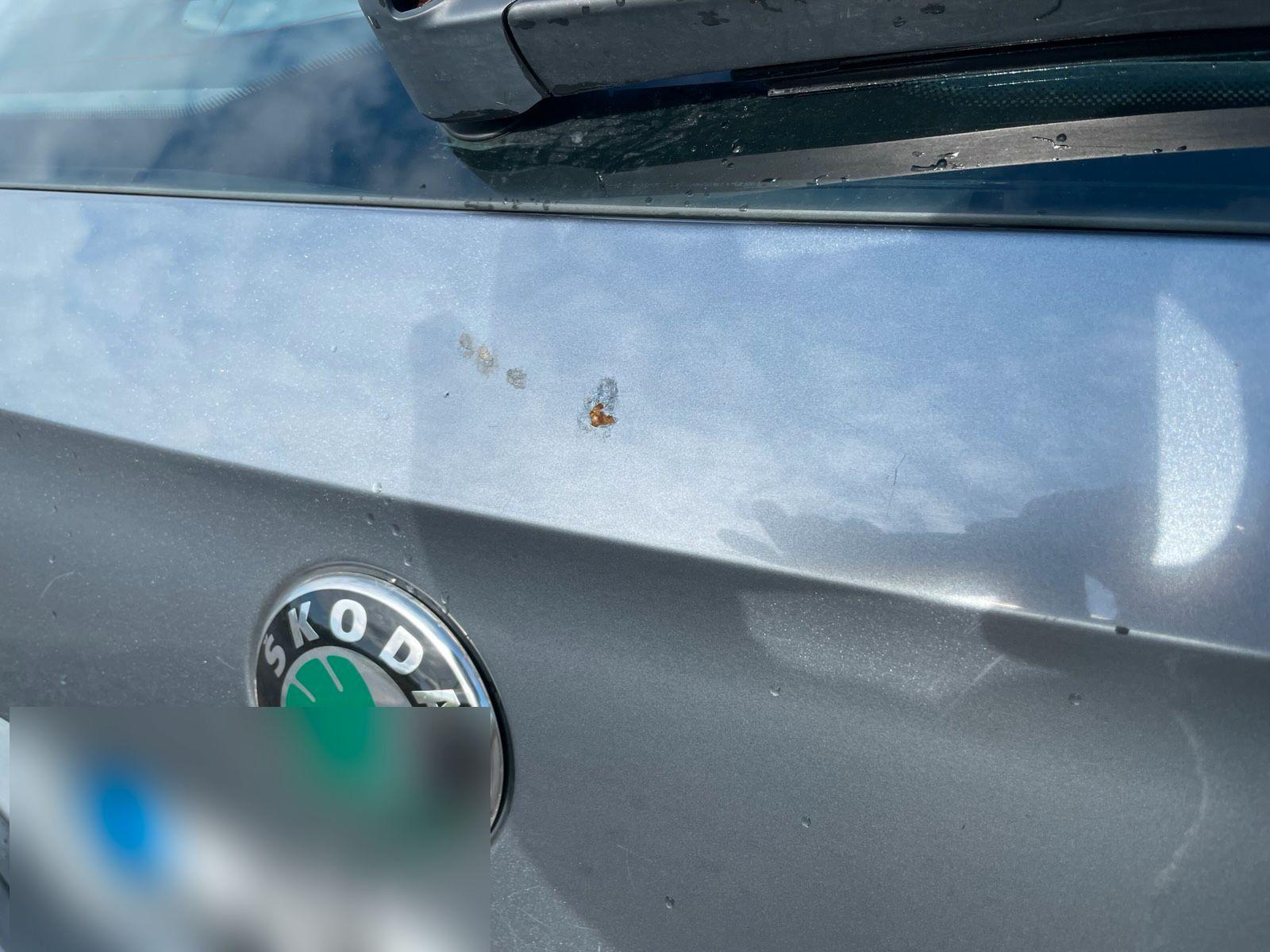 Skoda Superb 2011 — photo 6
