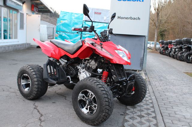 Arctic Cat DVX 300