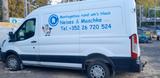 Ford Transit Transporter L2H2 - Ford: Transport