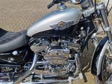 Harley-Davidson 1200 custom xl 100th anniversary - Offers matching your search criteria