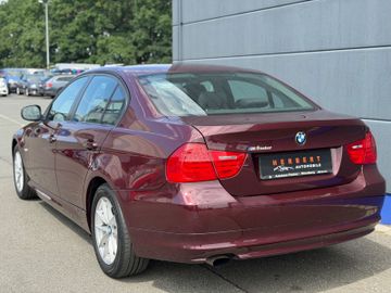 BMW 316 - 6