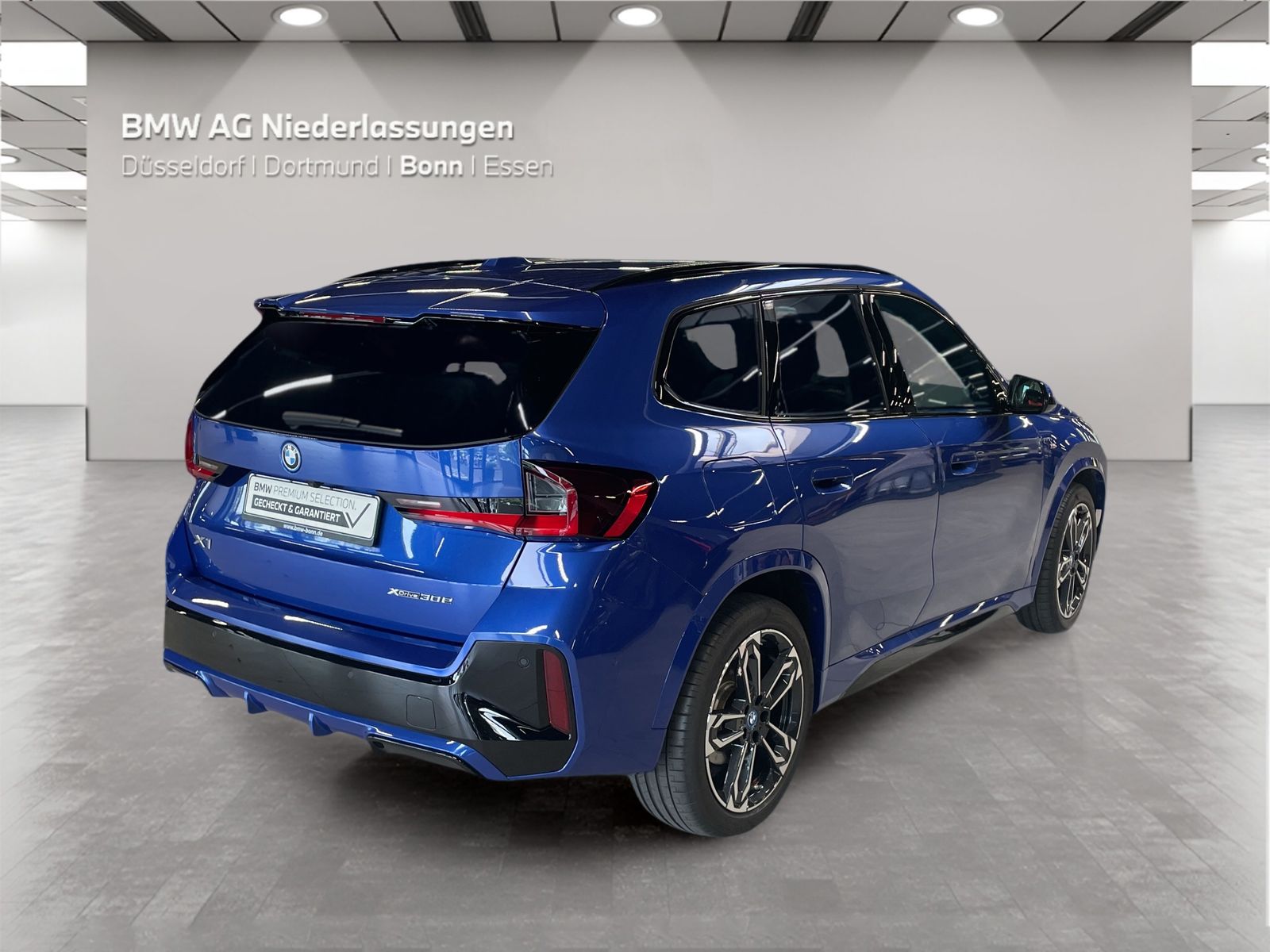 BMW X1 xDrive30e M Sport AHK Driv.Assist.Prof LED foto 2