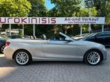 BMW 218i Cabrio Luxury Line*LEDER*BI-XENON*NAVI*PDC* - BMW 2er Reihe: Cabrio