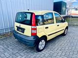 Fiat Panda - Fiat Panda Gebrauchtwagen in Hannover