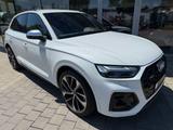 Audi SQ5 TDI  tiptronic AHK Matrix LED 21" MMI+ Carpl - Audi SQ5 Diesel Gebrauchtwagen