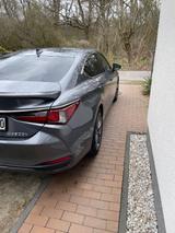 Lexus ES 300 300h F SPORT Automatik F SPORT - Lexus ES-Serie Gebrauchtwagen