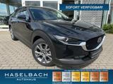 Mazda CX-30 Takumi BLOP AHK Leder LogIn 360° Matrix Le - Mazda CX-30 Takumi mit Benzin-Antrieb