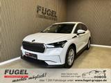 Skoda Enyaq 80 82kWh Wärmepumpe|SHZ|DC-Ladung|Navi|ACC - Skoda Enyaq Gebrauchtwagen
