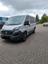 Fiat, Ducato,  Bus 9 Sitzer - Fiat Ducato: Sitzer 9