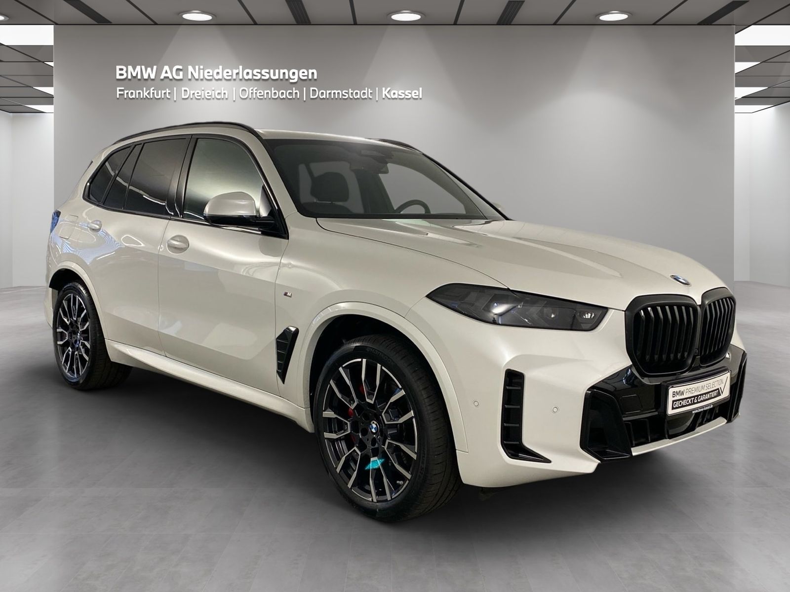 BMW X5 xDrive30d M Sport AHK Driv.Assist.Prof LED foto 3