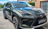 Lexus NX  300h Style Edition; Leder, Navi, Hybrid, LED