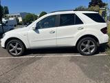 Mercedes-Benz ML 420 CDI 4MATIC - - Mercedes-Benz ML 420: Cdi 4matic