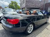 BMW 318i Cabrio 1.Hand Navi Xenon Leder Memory - BMW 318: 318i