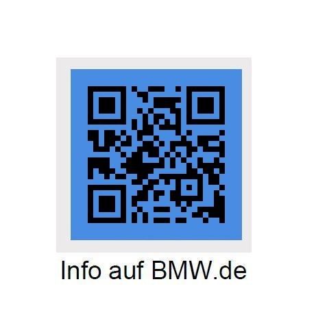 BMW X3 M50 - Bild 10