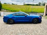 Ford Shelby GT350 - Ford Mustang: Gt350