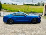 Ford Shelby GT350 - Ford Mustang: Gt350 Shelby
