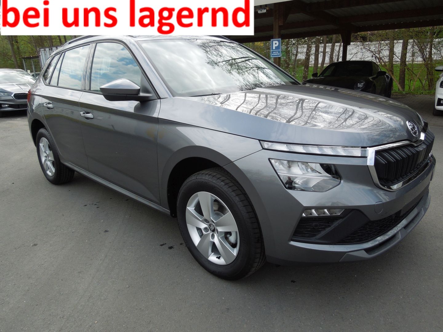 Skoda Kamiq 1.5TSI Selection/LED/Klimaautomatik/Kamera