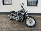 Harley-Davidson V Rod - 2004 V ROD