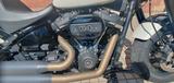 Harley-Davidson Fat Bob 114 FXFBS Kess-Tech - HARLEY-DAVIDSON NÜRNBERG