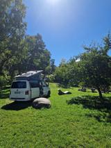 Volkswagen T6 California Ocean TDI EU6 4MOTION Radst.3000mm