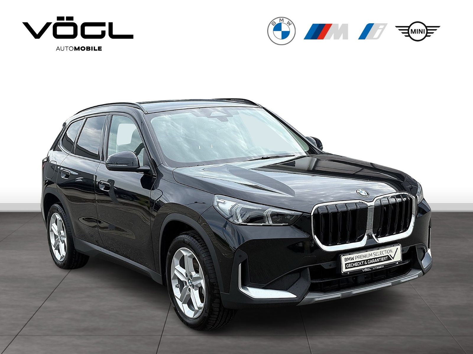 BMW X1 xDrive20d Head-Up Driv.Ass.Plus RFK foto 2