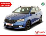 Skoda Fabia Combi 1.0 Edidition 100 - gebrauchte Skoda Fabia aus dem Jahr 2019