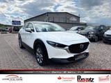 Mazda CX-30 Selection AWD/ 360* Kamera/AHK/LED/Leder/