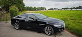 Jaguar XJ Premium Luxury 3.0 V6 Diesel Premium Luxury - Jaguar XJ: V6