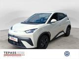 BYD Dolphin Surf Comfort NAVI LEDER LED - BYD in Wuppertal