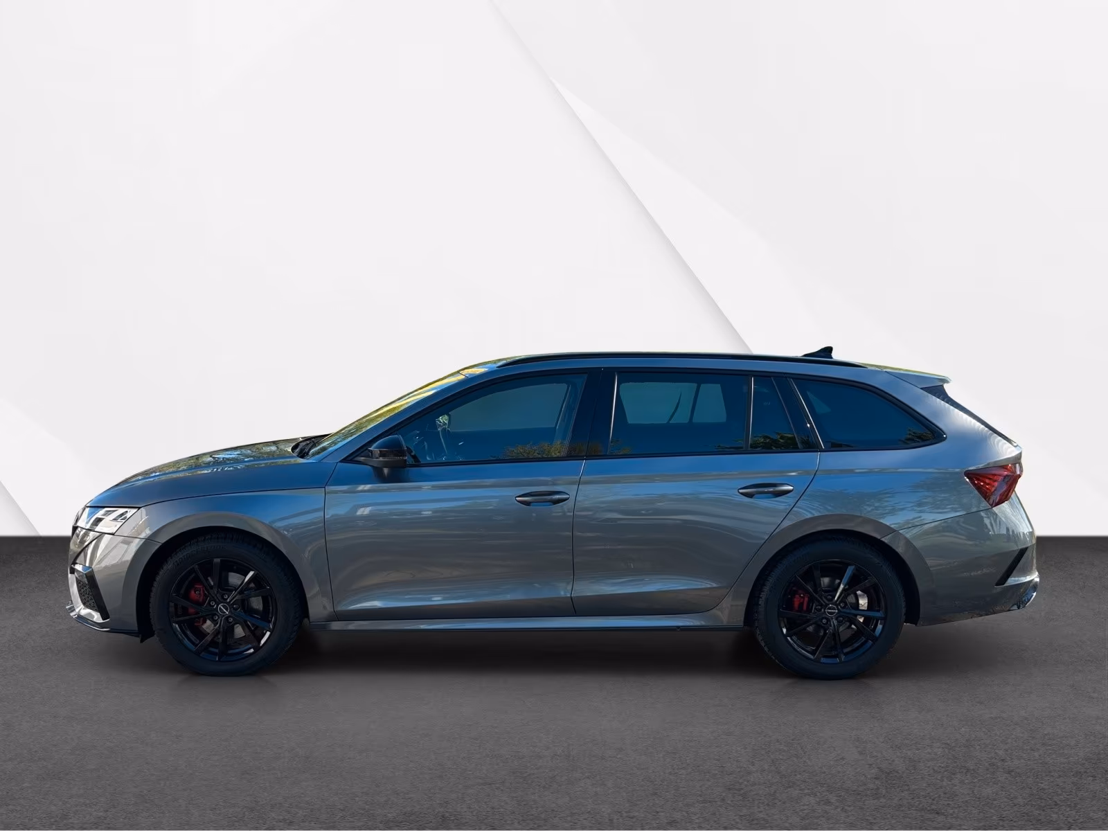 Skoda Octavia Combi RS Navi, SHZ, 8 fach