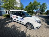 Fiat Doblo Kastenwagen viel Platz wenig Verbrauch - Fiat Doblo in Aachen