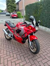 Suzuki GSX 600 FU - Angebote