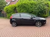Ford Fiesta Titanium 1,4 Liter Pantherschwarz - Ford Fiesta aus 2008: Titanium