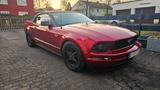Ford Mustang Cabrio, Flowmaster, Sportfahrwerk  - Ford Mustang aus 2005: Cabrio