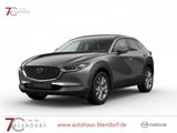 Mazda CX-30 Exclusive-Line 186 Automatik Matrix-LED|BO - Mazda CX-30 Tageszulassungen