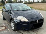 Fiat, Punto, Klima, Start stop Bluetooth 2... - Fiat Punto Gebrauchtwagen in München