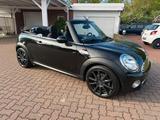 MINI COOPER Cabrio S-OPTIK KLIMA XENON SITZH. - MINI MINI aus 2009: Cabrio