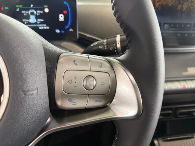 BYD DOLPHIN SURF