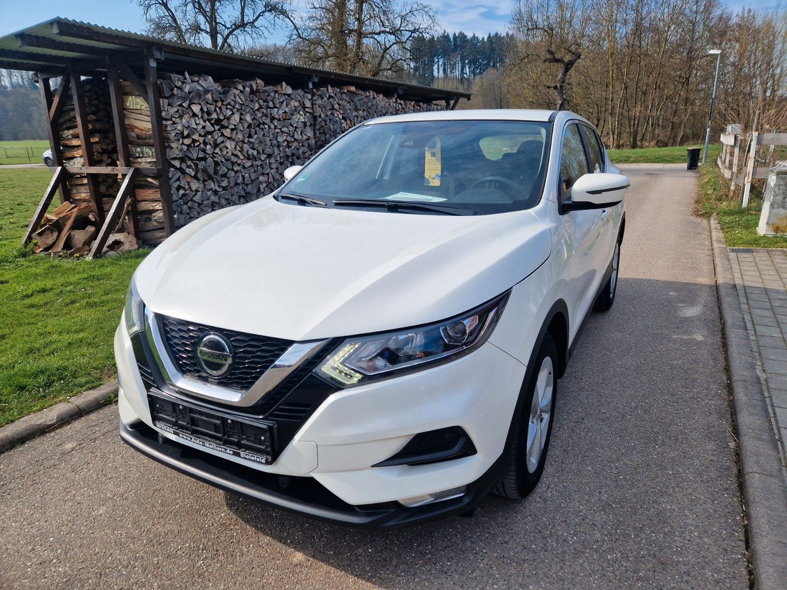 Nissan Qashqai Shiro imagem 3