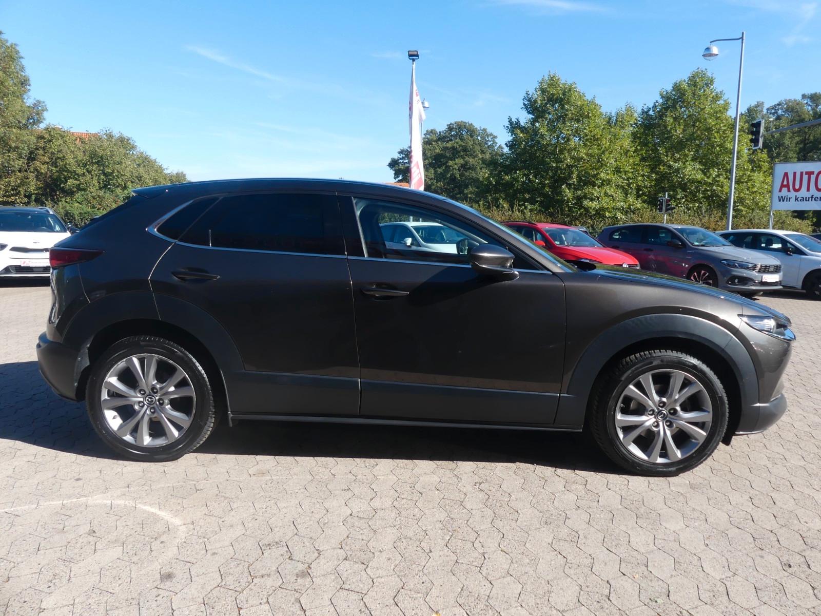 Mazda CX-30 2WD BOSE*Head-UP*Leder*Navi*ab 199€, миниатюра 6