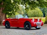 Austin Healey Sprite MKI Frogeye Frosch Speichenfelge Scheiben - Austin Healey: Frogeye