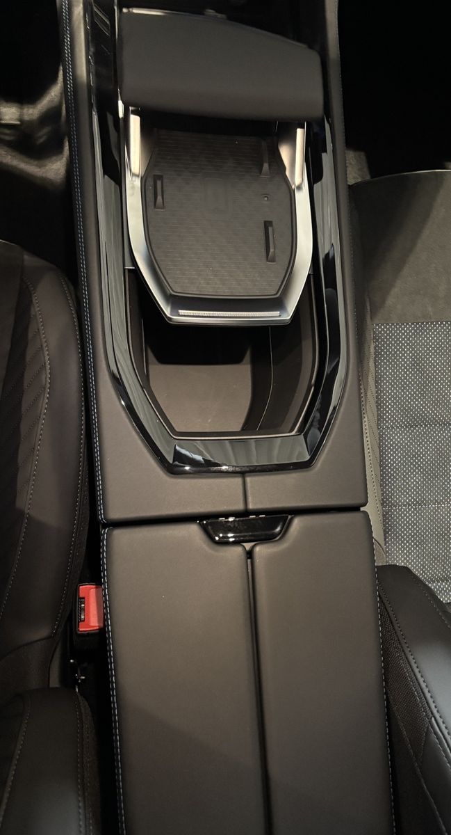 Renault Rafale - Bild 13