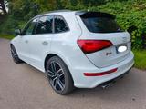 Audi SQ5 3.0 TDI plus tiptronic quattro - - Audi SQ5 Gebrauchtwagen in Stuttgart