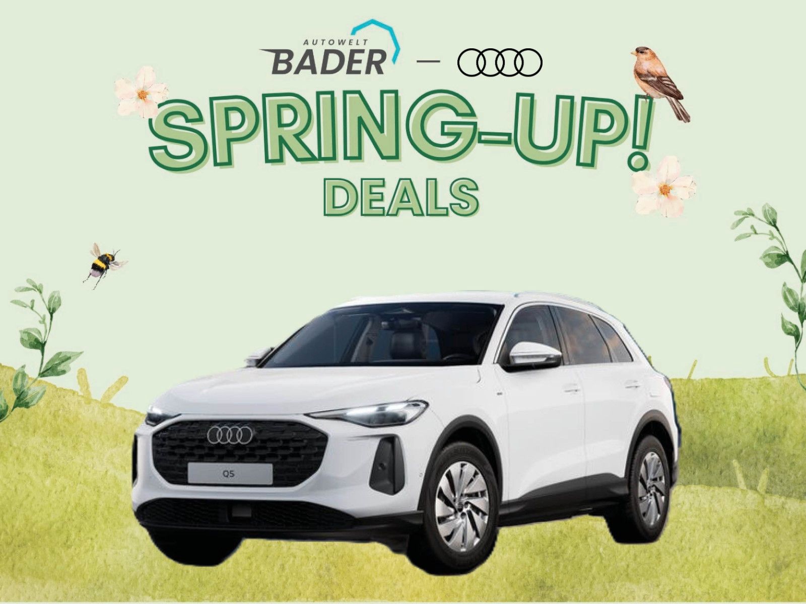 Audi Q5 - Bild 1