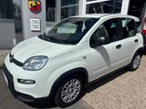 Fiat Pandina - Fiat Panda in Lübeck