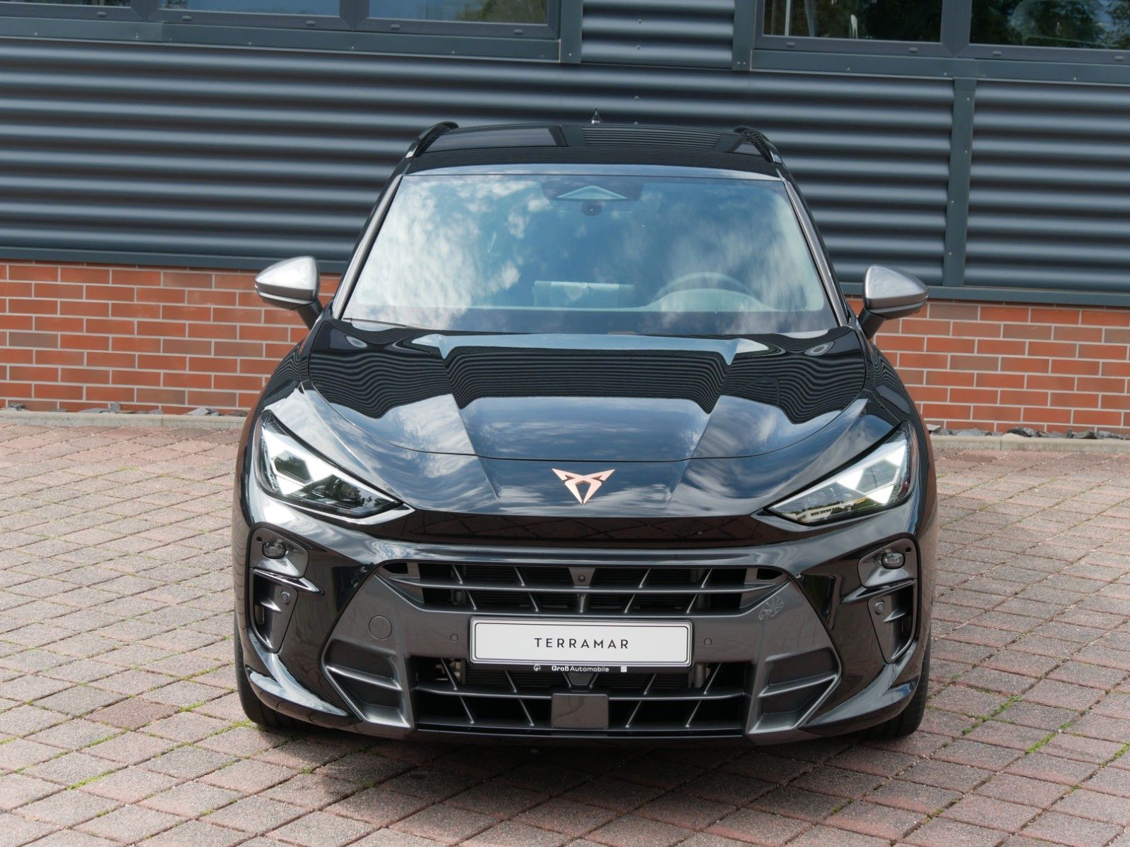 Cupra Terramar - Bild 5