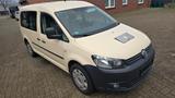 Volkswagen Caddy Maxi 1.6 TDI MwSt Ausweisbar - mit Diesel-Antrieb: Kombi, Mwst Ausweisbar