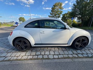 Volkswagen Beetle - 4